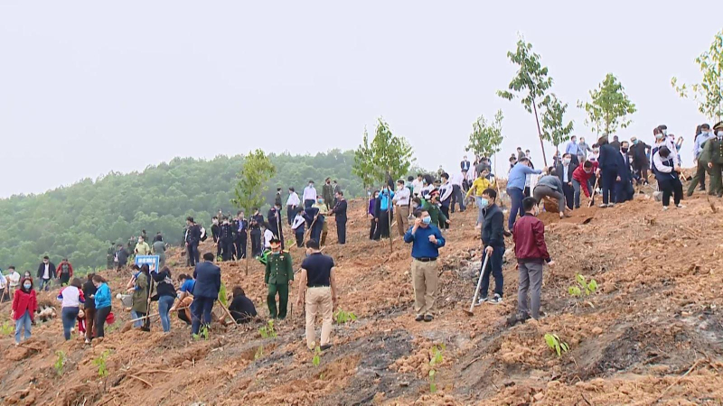 Phê duyệt đề án trồng một tỷ cây xanh