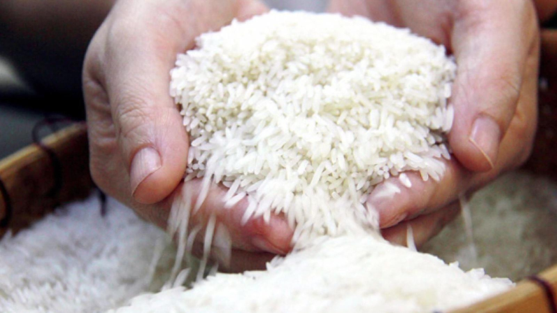 Nguy cơ Việt Nam mất quyền tham gia giải gạo ngon thế giới