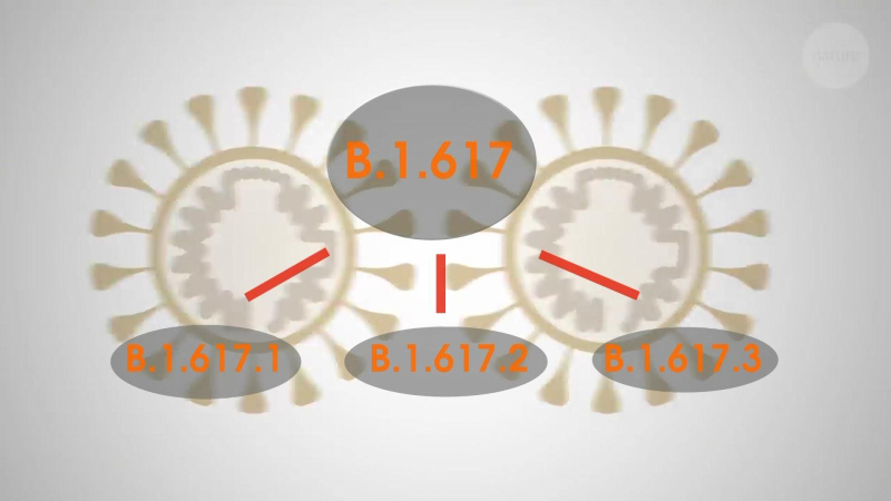 Giải mã độ nguy hiểm của biến chủng virus Ấn Độ
