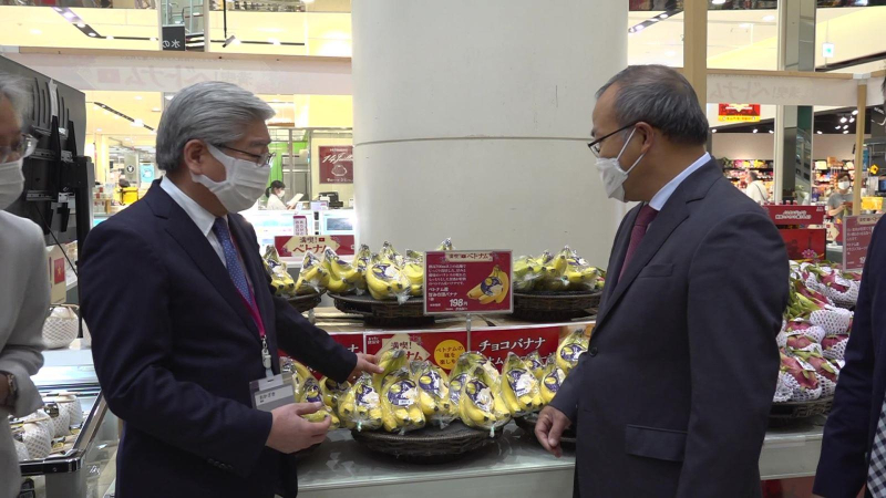 Chuối Việt Nam bước đầu c&oacute; chỗ đứng tại thị trường Nhật Bản