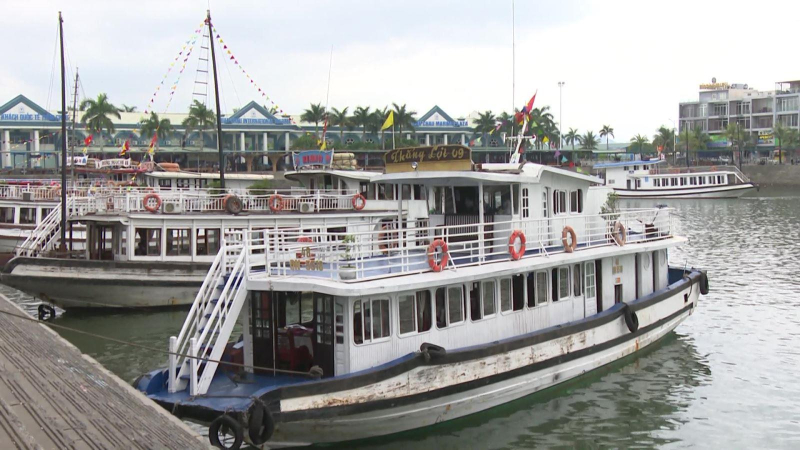 Miễn ph&iacute; tham quan vịnh Hạ Long, Y&ecirc;n Tử đến hết năm