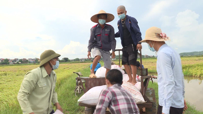 Hỗ trợ nông dân tiêu thụ nông sản