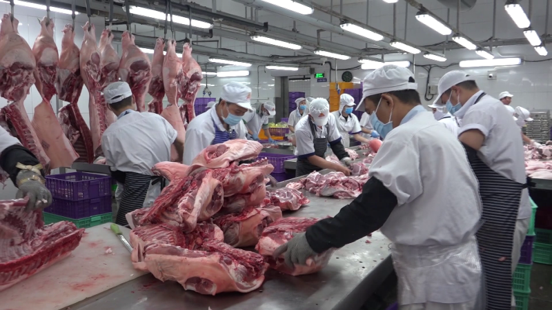 HCM đảm bảo nguồn cung thịt lợn cho người d&acirc;n