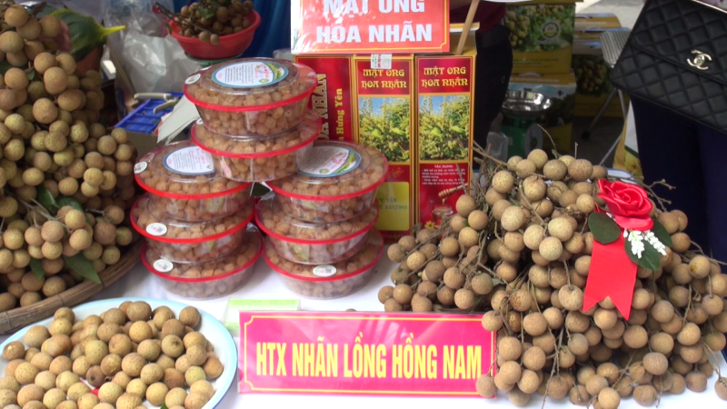 X&uacute;c tiến ti&ecirc;u thụ nh&atilde;n lồng Hưng Y&ecirc;n quy m&ocirc; lớn