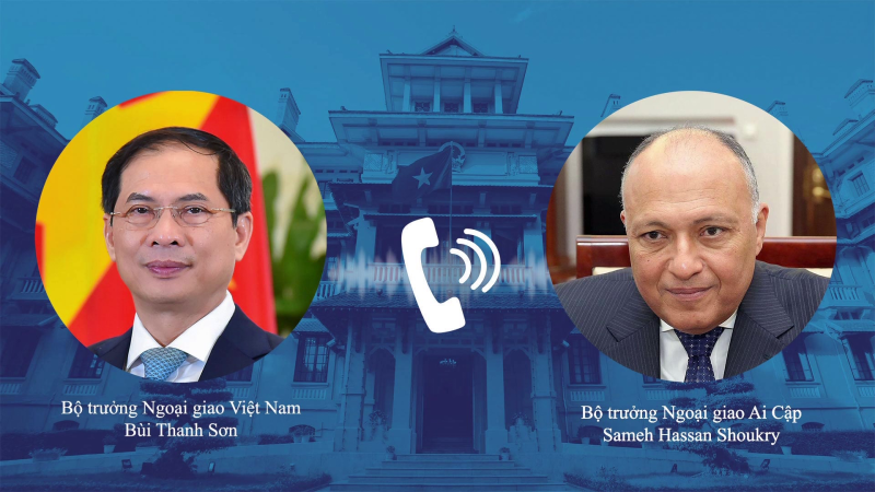 Thúc đẩy hợp tác song phương Việt Nam - Ai Cập