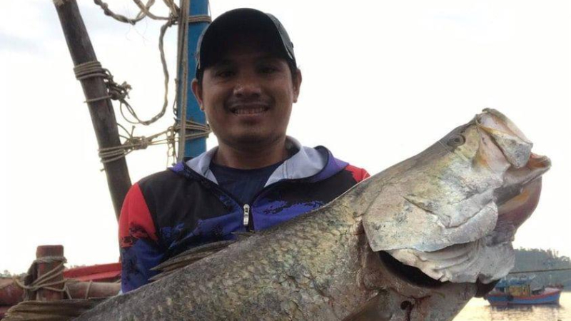 Câu được cá Chém "khủng" ở cửa biển Sa Kỳ