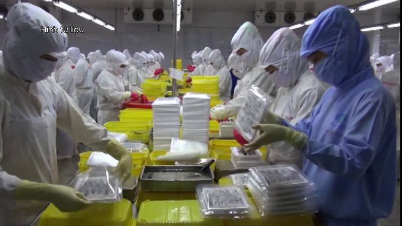 Kim ngạch xuất khẩu tháng 8 đạt 26,2 tỷ USD