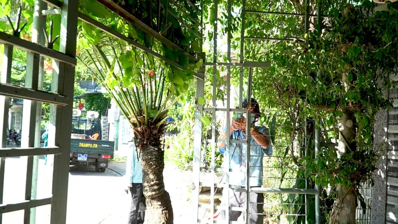 TP Quảng Ngãi giải tỏa lấn chiếm tại đường Cẩm Thành, phường Trần Hưng Đạo