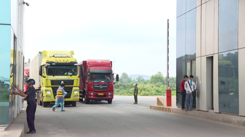 Siết chặt kiểm soát nhập lậu gia cầm qua biên giới phía Bắc