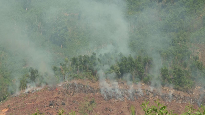 Tăng cường phòng cháy chữa cháy rừng