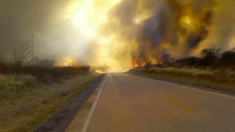 Thế giới hứng chịu thảm họa cháy rừng