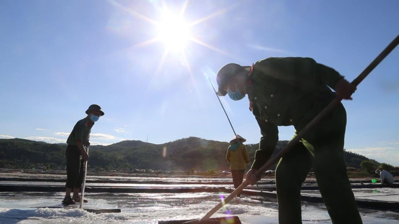 Công an ra đồng giúp dân vùng tâm dịch làm muối