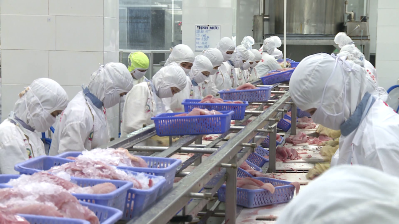 Xuất khẩu thủy sản c&oacute; thể đạt mục ti&ecirc;u 9 tỷ USD