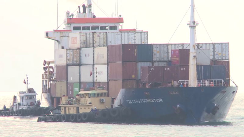 Giảm giá dịch vụ hoa tiêu cho doanh nghiệp vận tải biển