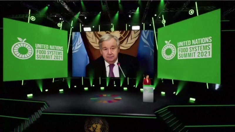 LHQ khẳng định tầm quan trọng của lương thực