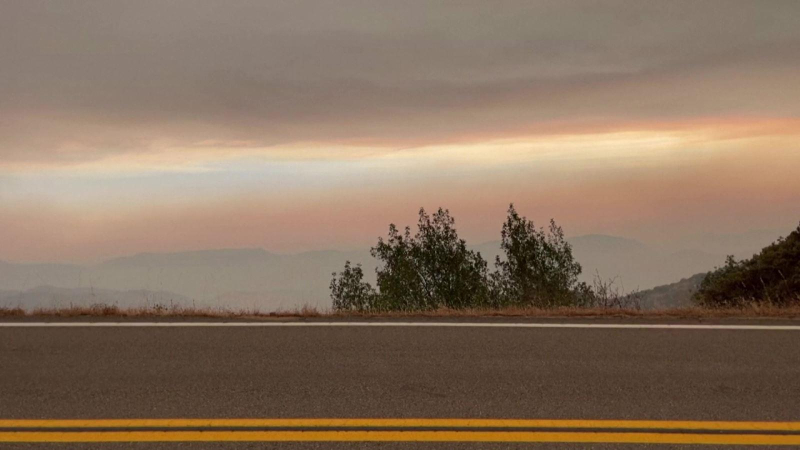 Mỹ chạy đua cứu cây sequoia khổng lồ