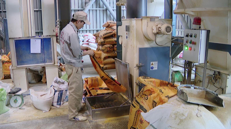 Nhập khẩu thức ăn chăn nuôi tăng đột biến