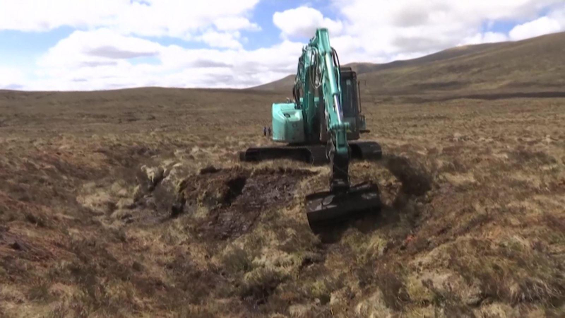 Cùng hành động để ngăn thảm họa khí hậu