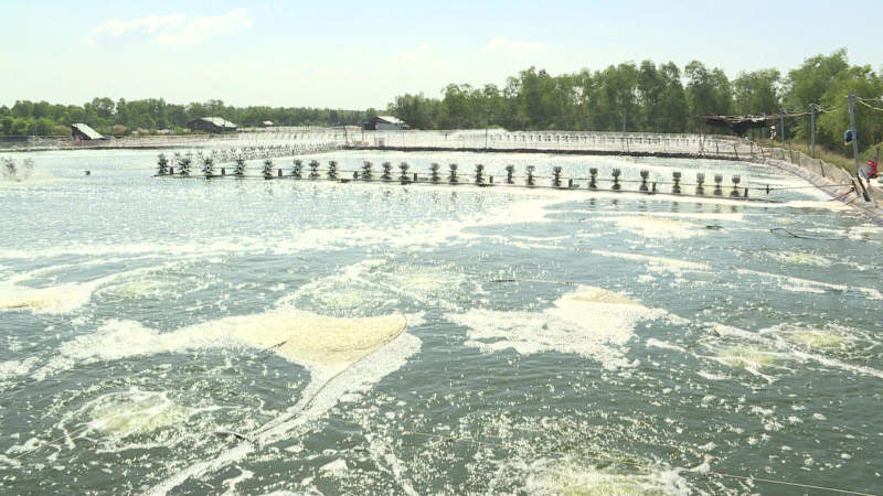 Ng&agrave;nh thủy sản trước nguy cơ g&atilde;y đổ chuỗi sản xuất