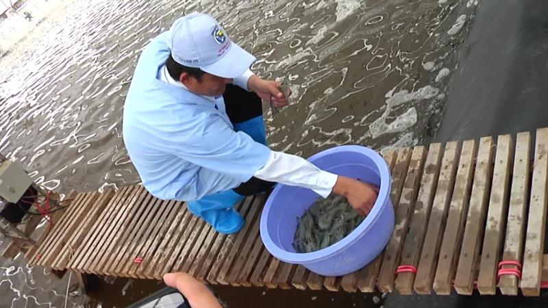 Xuất khẩu thủy sản đồng loạt giảm