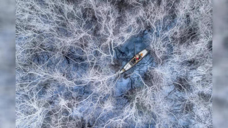 Ảnh chụp phá Tam Giang thắng giải quốc tế