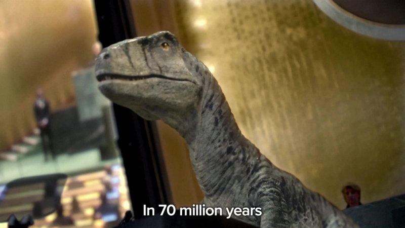 LHQ gửi thông điệp độc đáo về bảo vệ môi trường