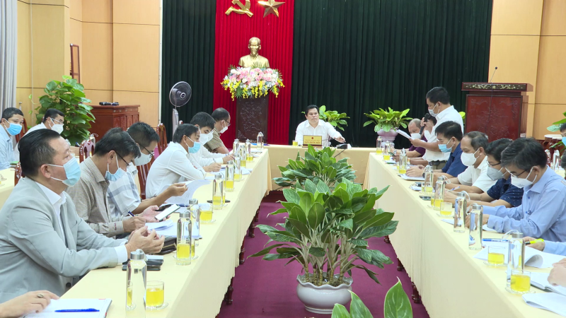 UBND tỉnh gặp gỡ doanh nghiệp sản xuất, chế biến dăm gỗ