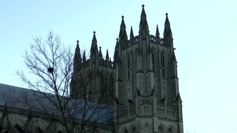 Thế giới tưởng niệm nạn nhân COVID 19