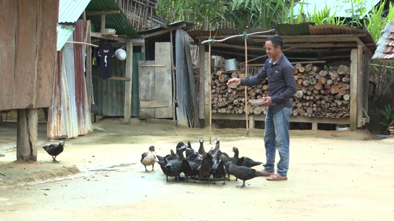 Sản xuất nông nghiệp đảm bảo dinh dưỡng