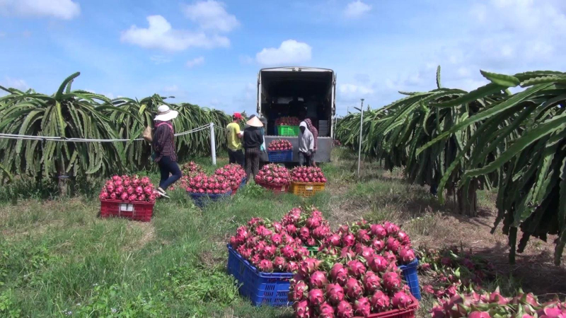 Xuất khẩu n&ocirc;ng, l&acirc;m, thủy sản sẽ đạt 44 tỷ USD