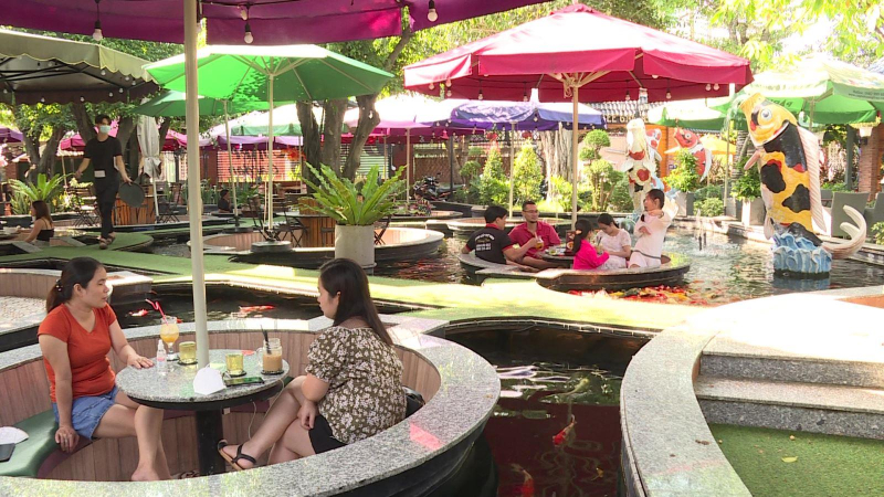 Độc đáo cà phê cá Koi ở TP. Hồ Chí Minh