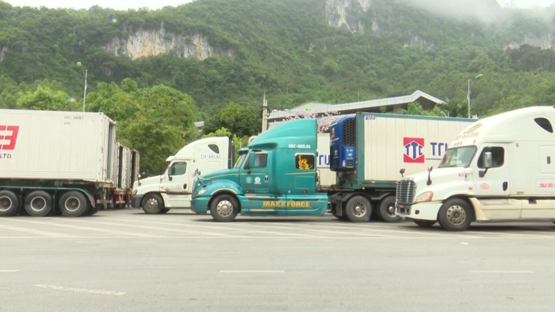 320 mã nông sản được nhập khẩu vào Trung Quốc