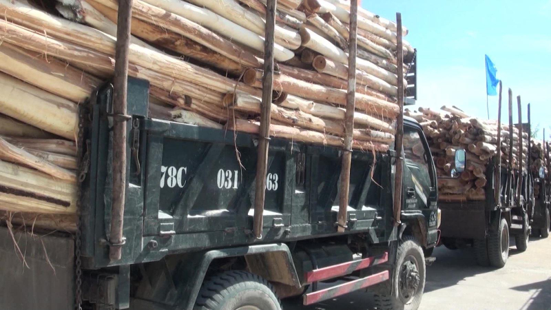 Cảnh b&aacute;o 11 mặt h&agrave;ng xuất khẩu c&oacute; nguy cơ bị điều tra