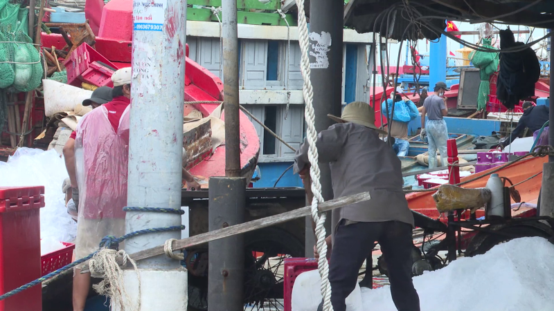 Quảng Ngãi phủ sóng thiết bị giám sát hành trình trên tàu cá