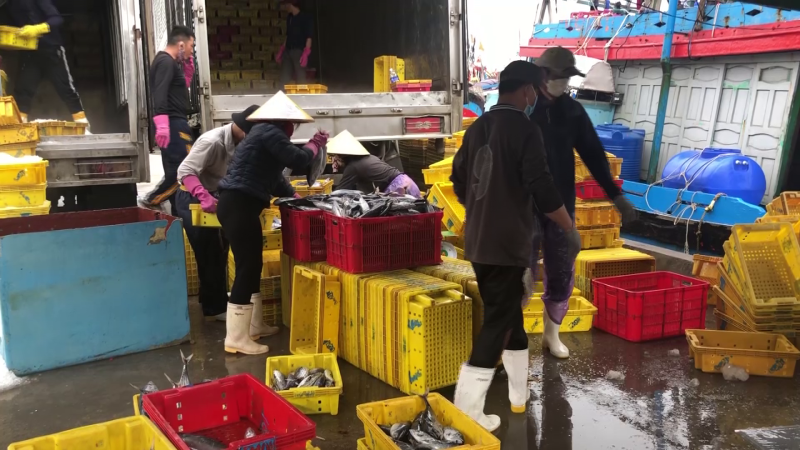 Đánh bắt cá bằng thiết bị hiện đại