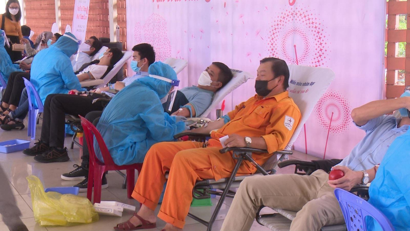 Evncpc khai mạc tuần lễ hồng