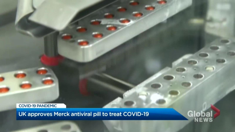 Anh cần thêm tình nguyện viên thử nghiệm thuốc Molnupiravir