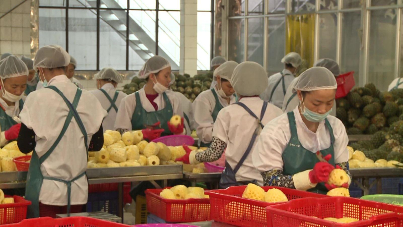 Người Anh t&igrave;m kiếm sản phẩm Việt Nam nhiều nhất