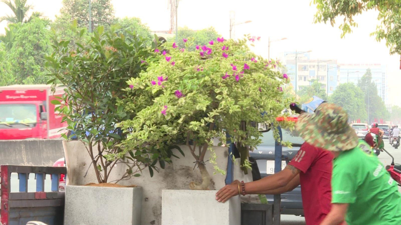 Hoa kiểng Tết các miền đổ về TP.HCM