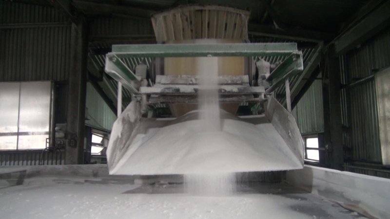 Điều tra việc đường mía vào Việt Nam né thuế