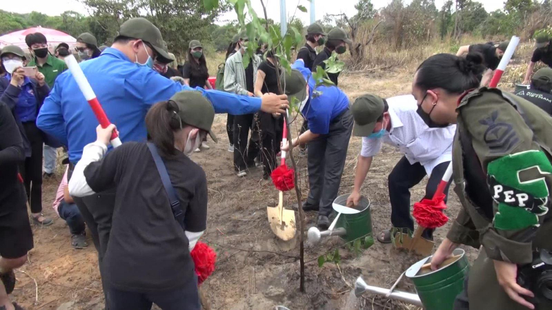 Trồng cây sao đen tại Khu bảo tồn thiên nhiên Tà Cú