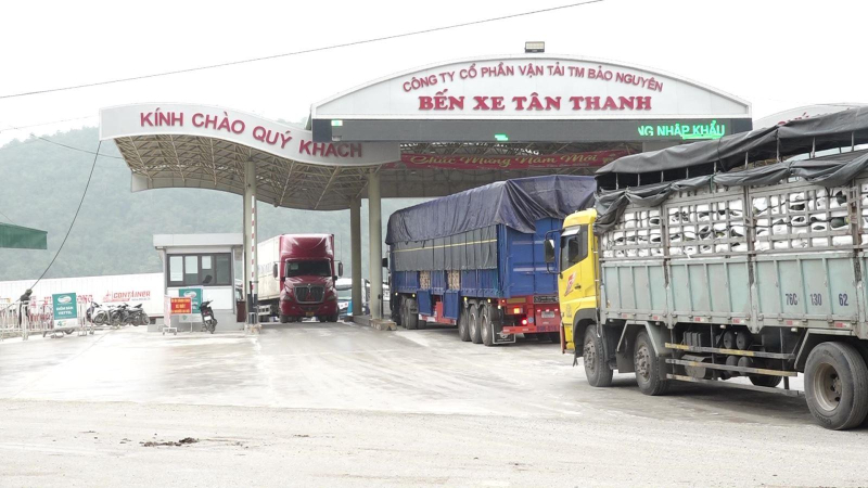 Doanh nghiệp vào cuộc tiêu thụ nông sản ùn ứ