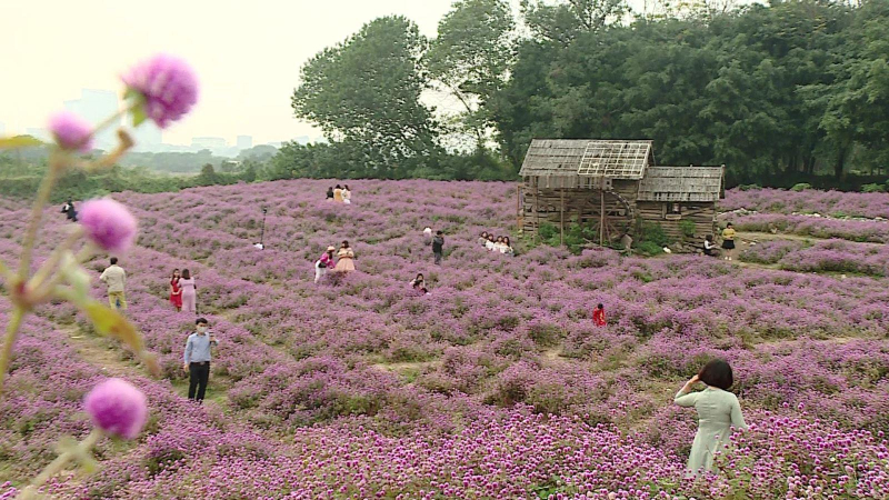 Trời Âu ở Hà Nội