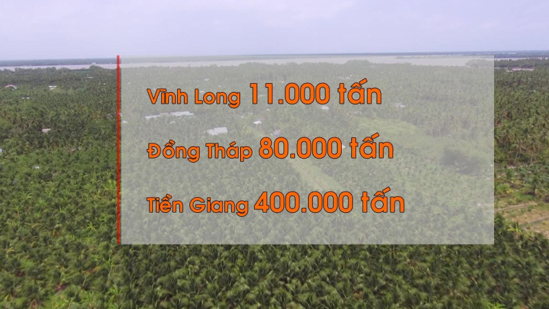 Hàng triệu tấn nông sản trông chờ thị trường nội địa