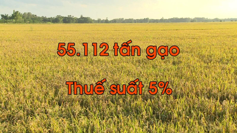 Hàn Quốc mở thầu nhập hơn 55.000 tấn gạo Việt