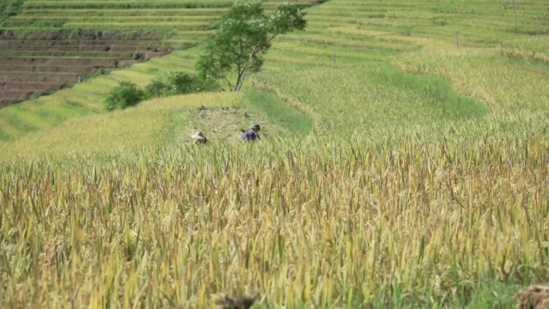 Việt Nam thăng hạng về chỉ số năng lực cạnh tranh ngành du lịch