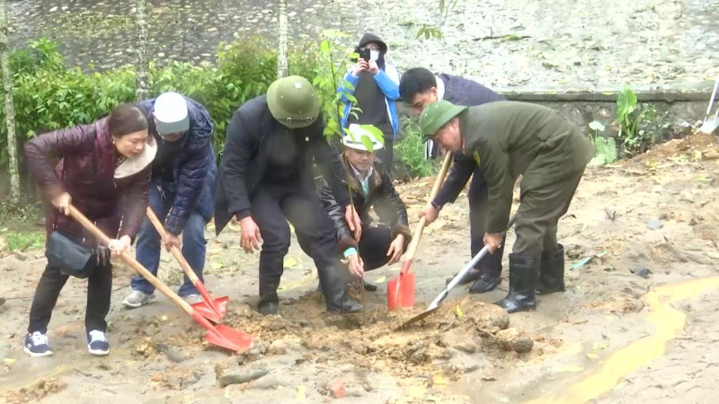 Hưởng ứng TẾT TRỒNG C&Acirc;Y