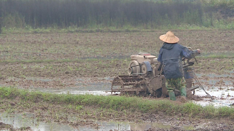 Công bố Chiến lược phát triển nông nghiệp, nông thôn