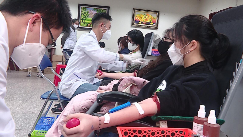 Khai mạc lễ hội Xuân hồng