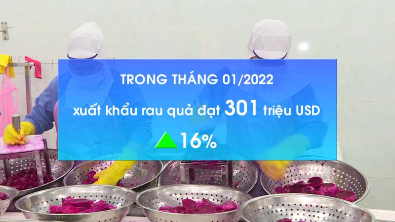 Xuất khẩu rau quả tăng 16%